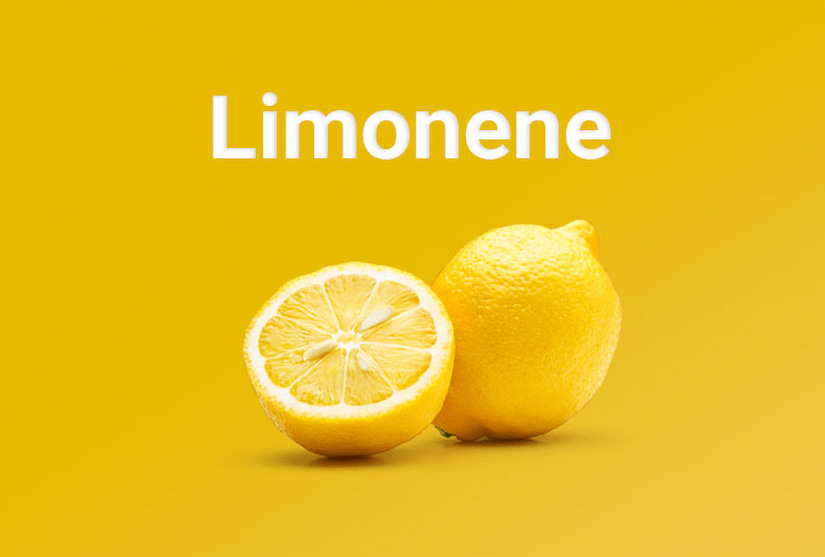 Limonen Nedir? Limonenin Faydaları, Kullanım Alanları ve Potansiyel Etkileri